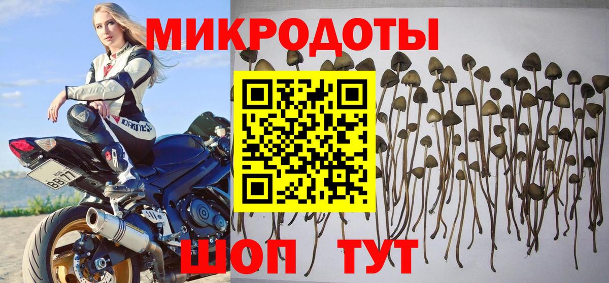Галлюциногенные грибы MAGIC MUSHROOMS Дальнегорск